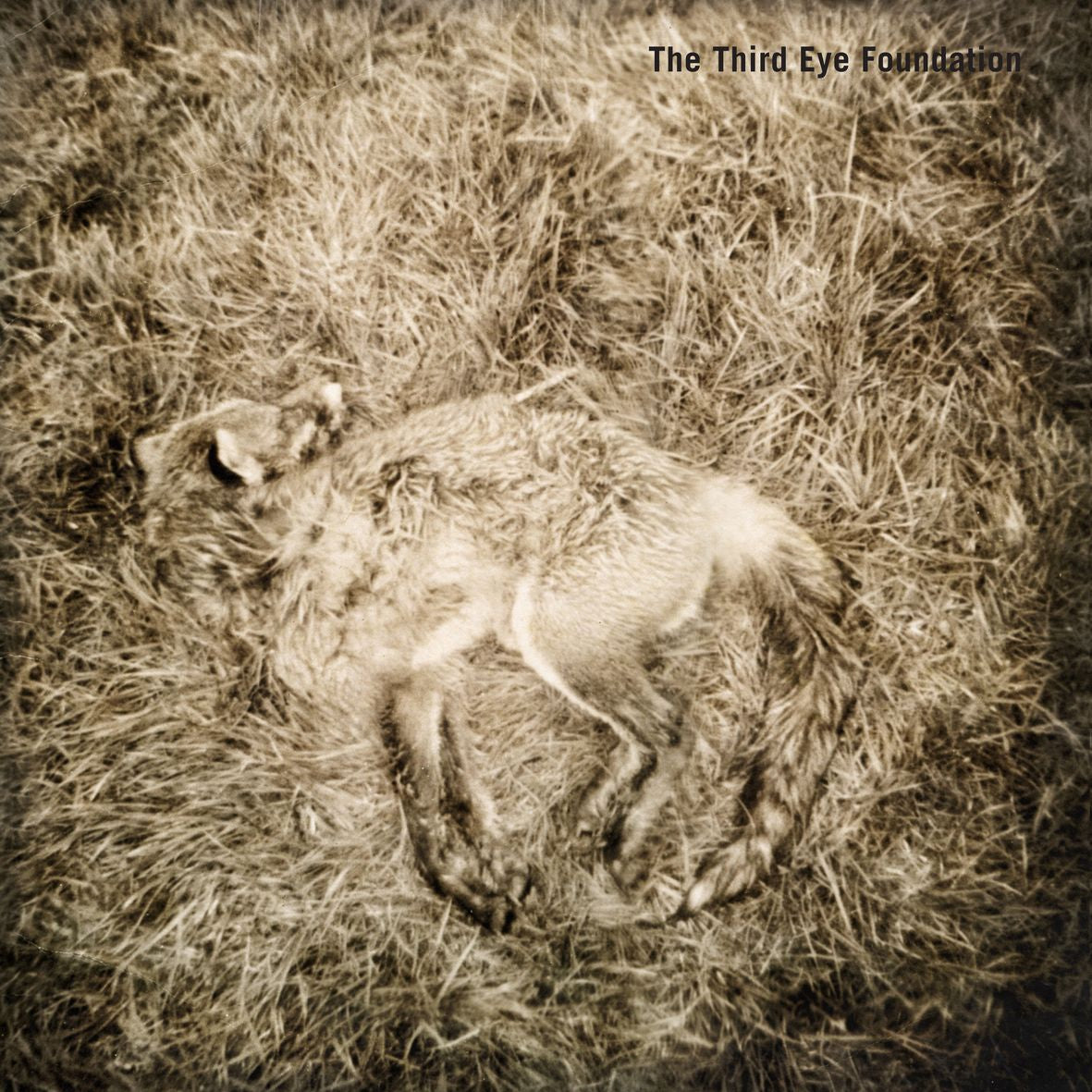 SEMTEX (2 vinyls) - Front Cover