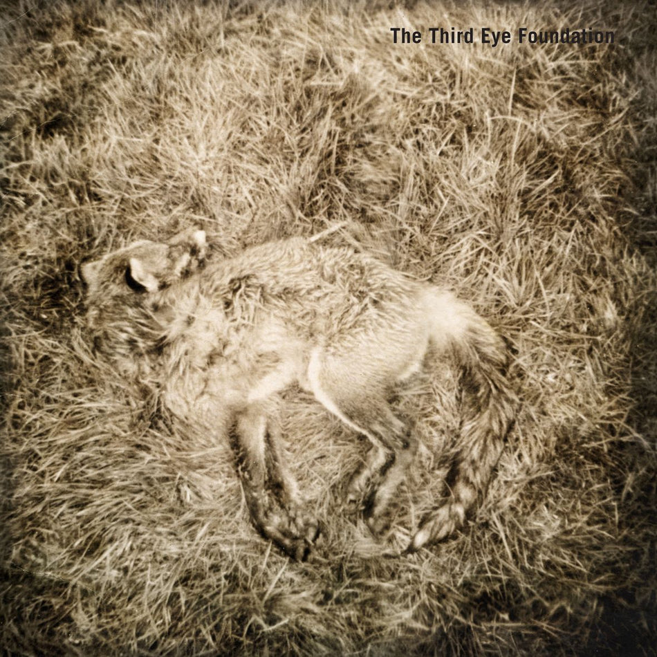 SEMTEX (2 vinyls) - Front Cover