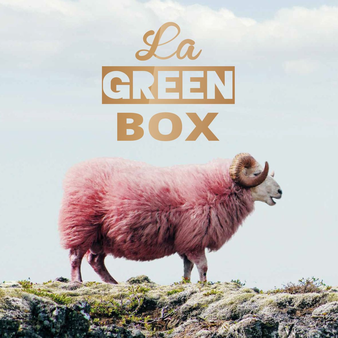 LA GREEN BOX (vinyl) - Front Cover