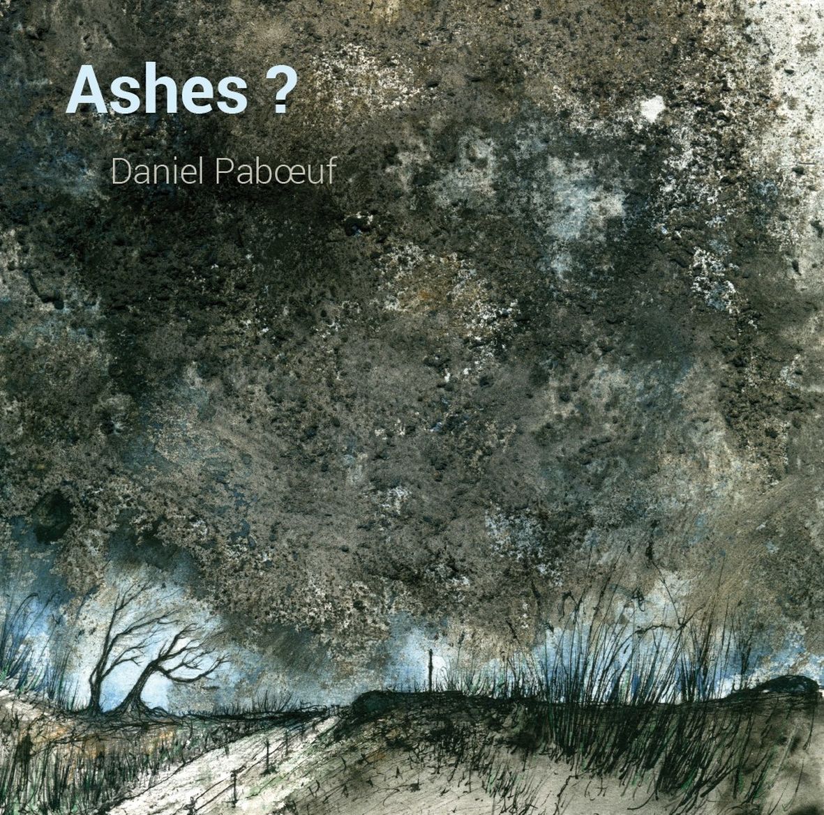 ASHES ? (vinyl) - Front Cover