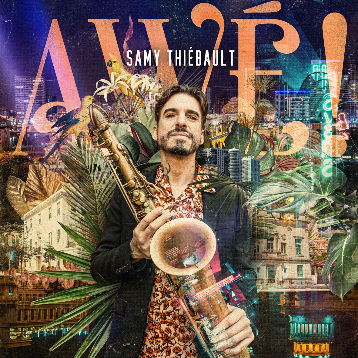 AWE ! (2 vinyls) - Front Cover