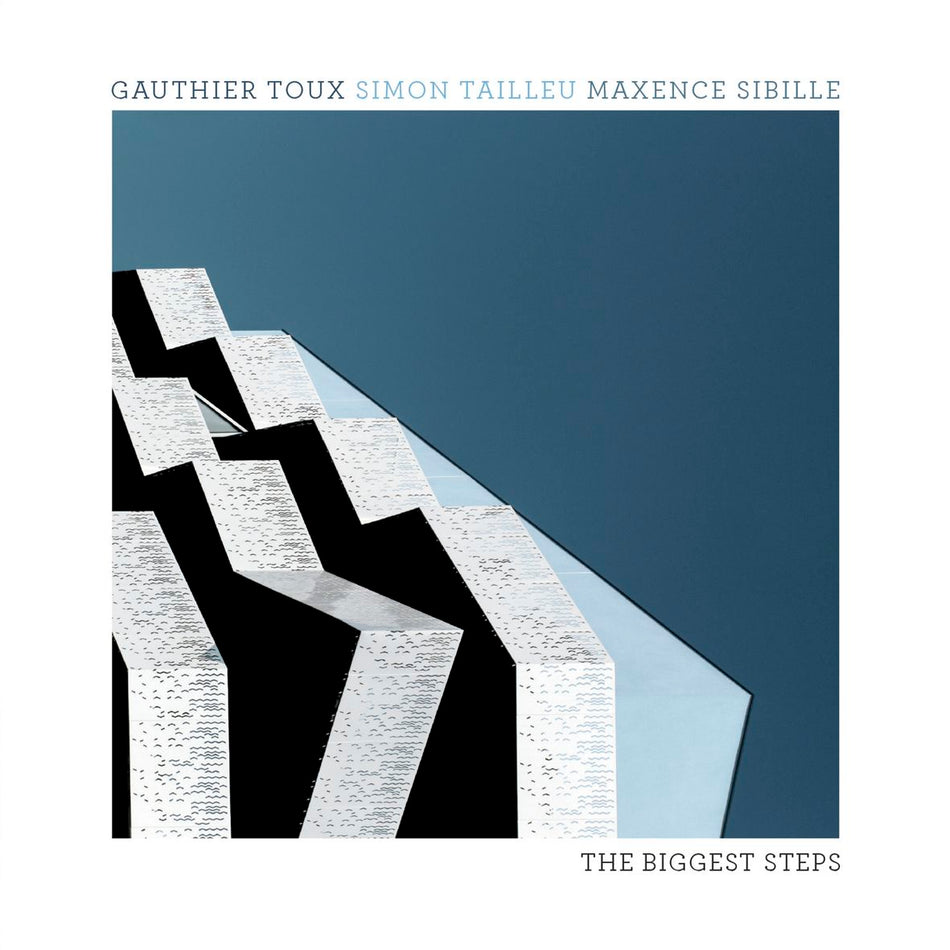 THE BIGGEST STEPS (vinyl) - Front Cover