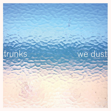 WE DUST (vinyl) - Front Cover