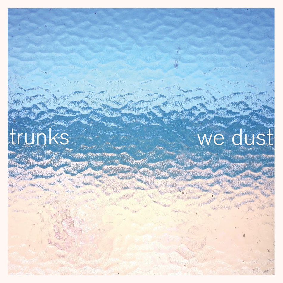 WE DUST (vinyl) - Front Cover