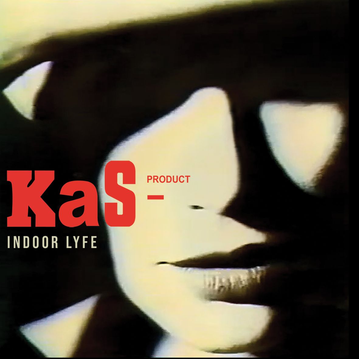 INDOOR LYFE (vinyl, maxi 45T) - Front Cover