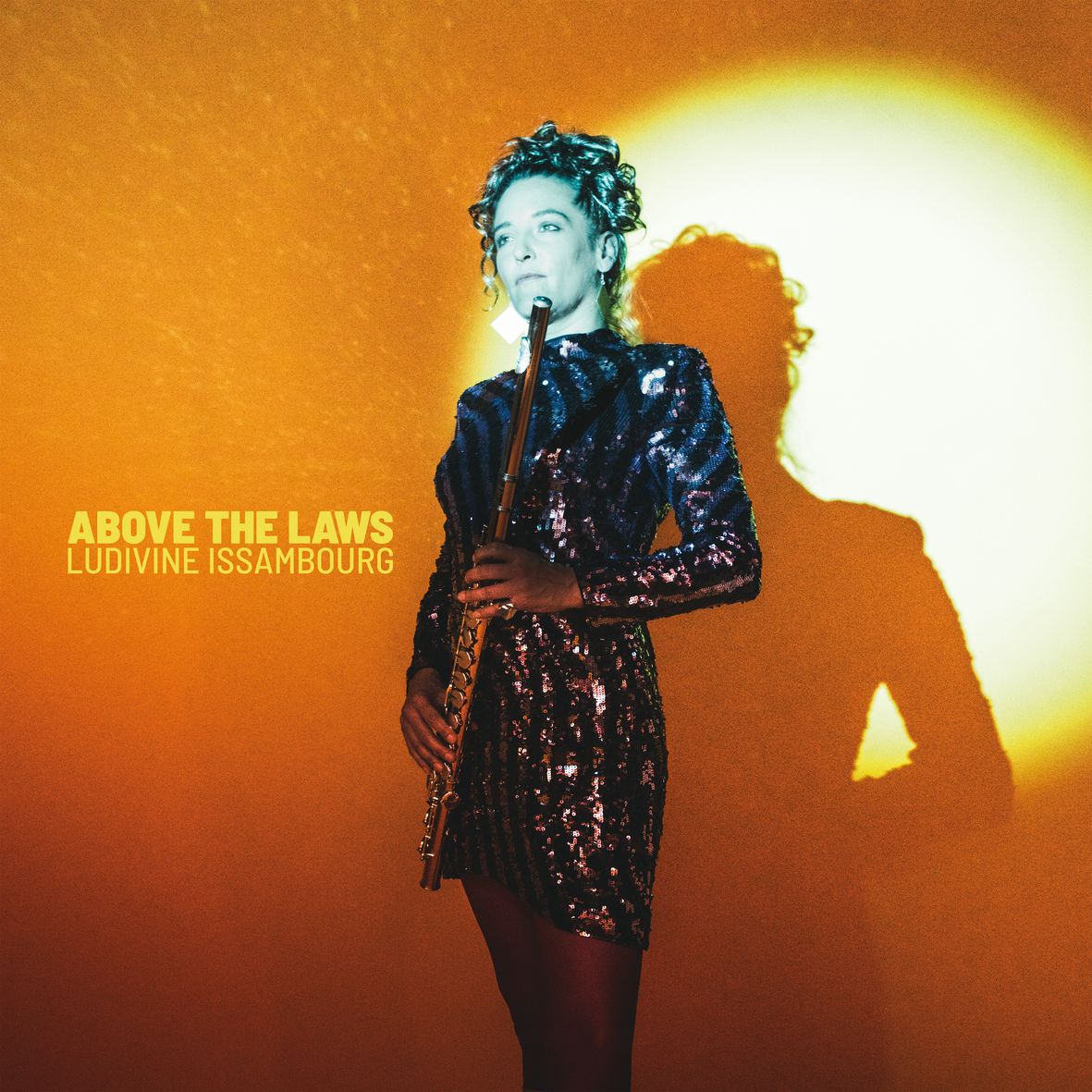 ABOVE THE LAWS (vinyl 180 gr) - Front Cover