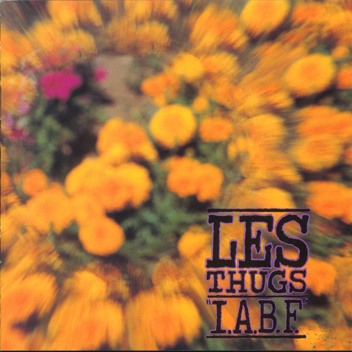 IABF (vinyl) - Front Cover