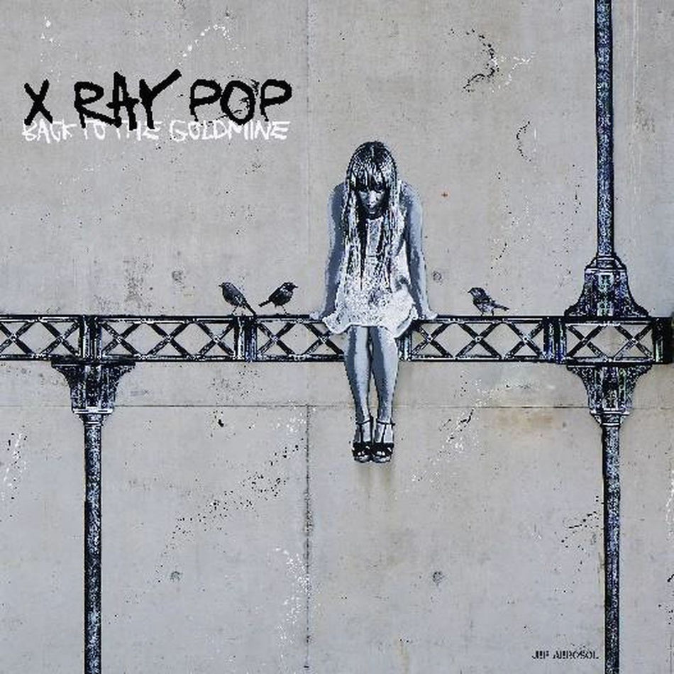 BACK TO THE GOLDMINE (vinyl) - Front Cover