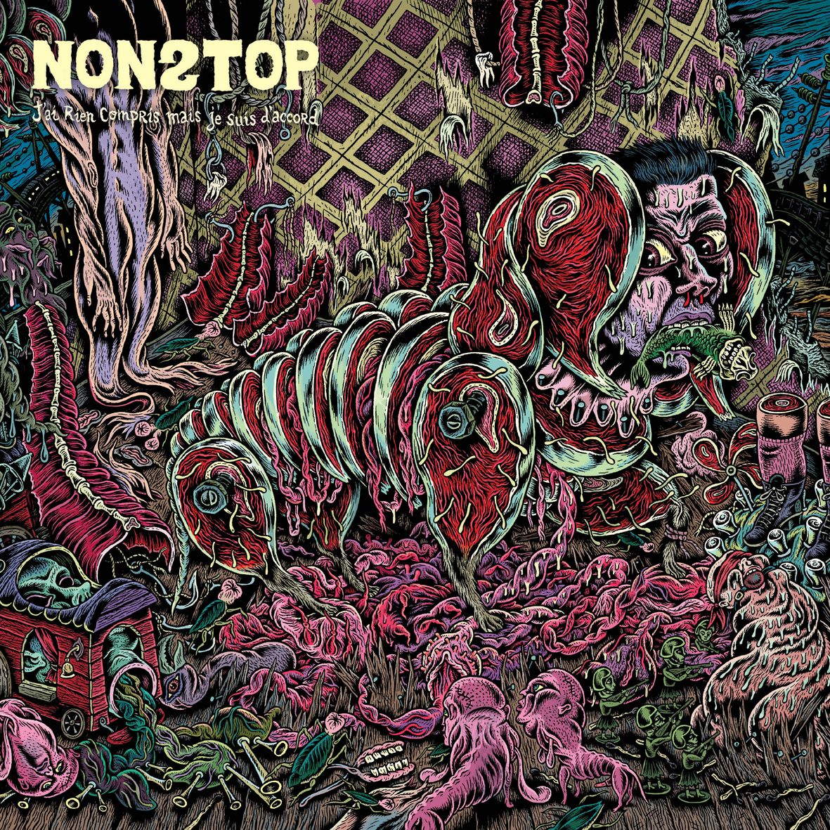 J'AI RIEN COMPRIS MAIS JE SUIS D'ACCORD (2 vinyls) - Front Cover