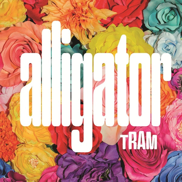 Alligator - Front Cover