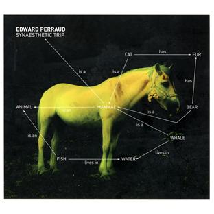 Synaesthetic trip - Front Cover