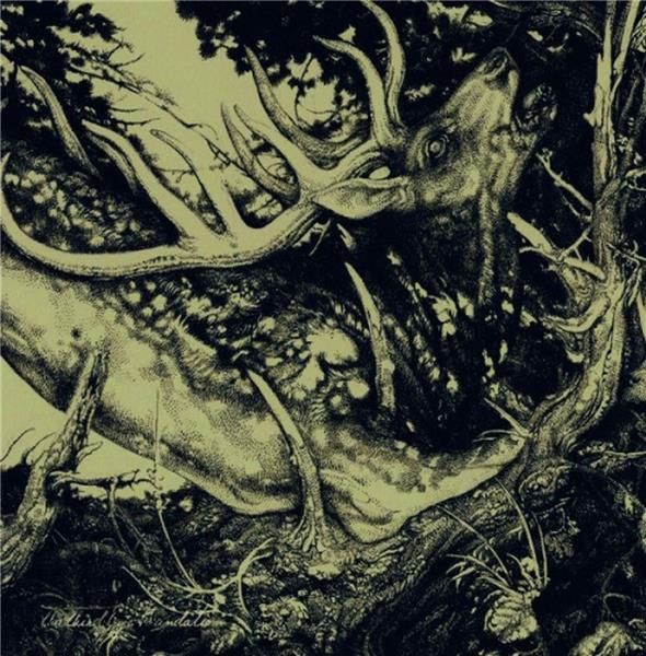 Dark - Front Cover