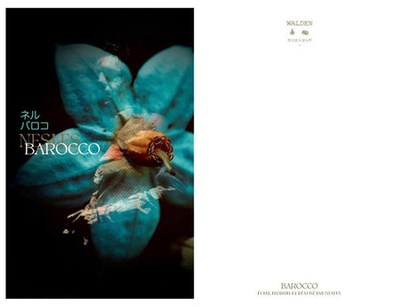 Barocco - Front Cover