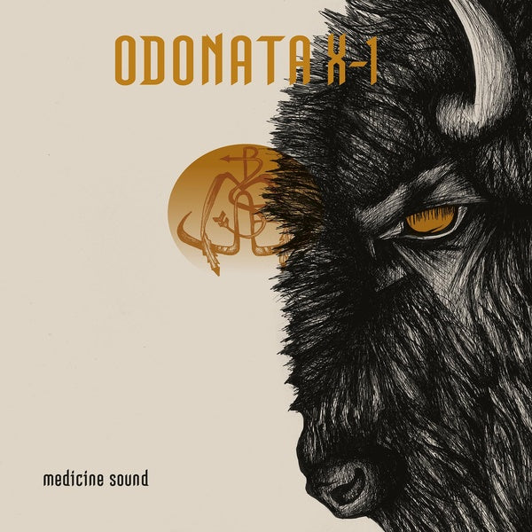 Medicine Sound - Front Cover