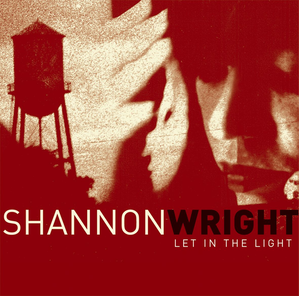 LET IN THE LIGHT (vinyl) - Front Cover