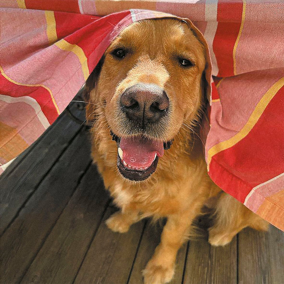 MOUCHE (vinyl) - Front Cover