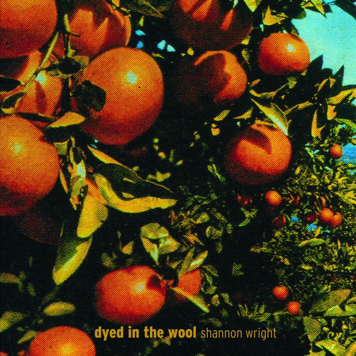 DYED IN THE WOOL (ré-édition vinyl) - Front Cover