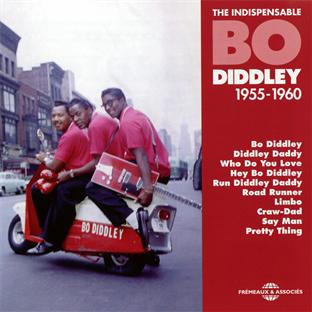 Indispensable 1955 - 1960 - Front Cover