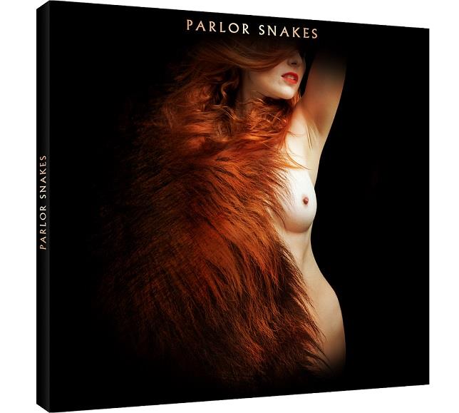 PARLOR SNAKES - Front Cover