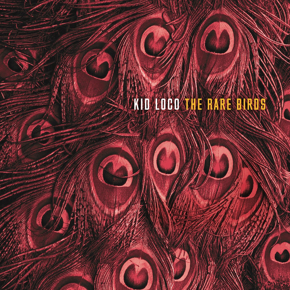 THE RARE BIRDS - Front Cover