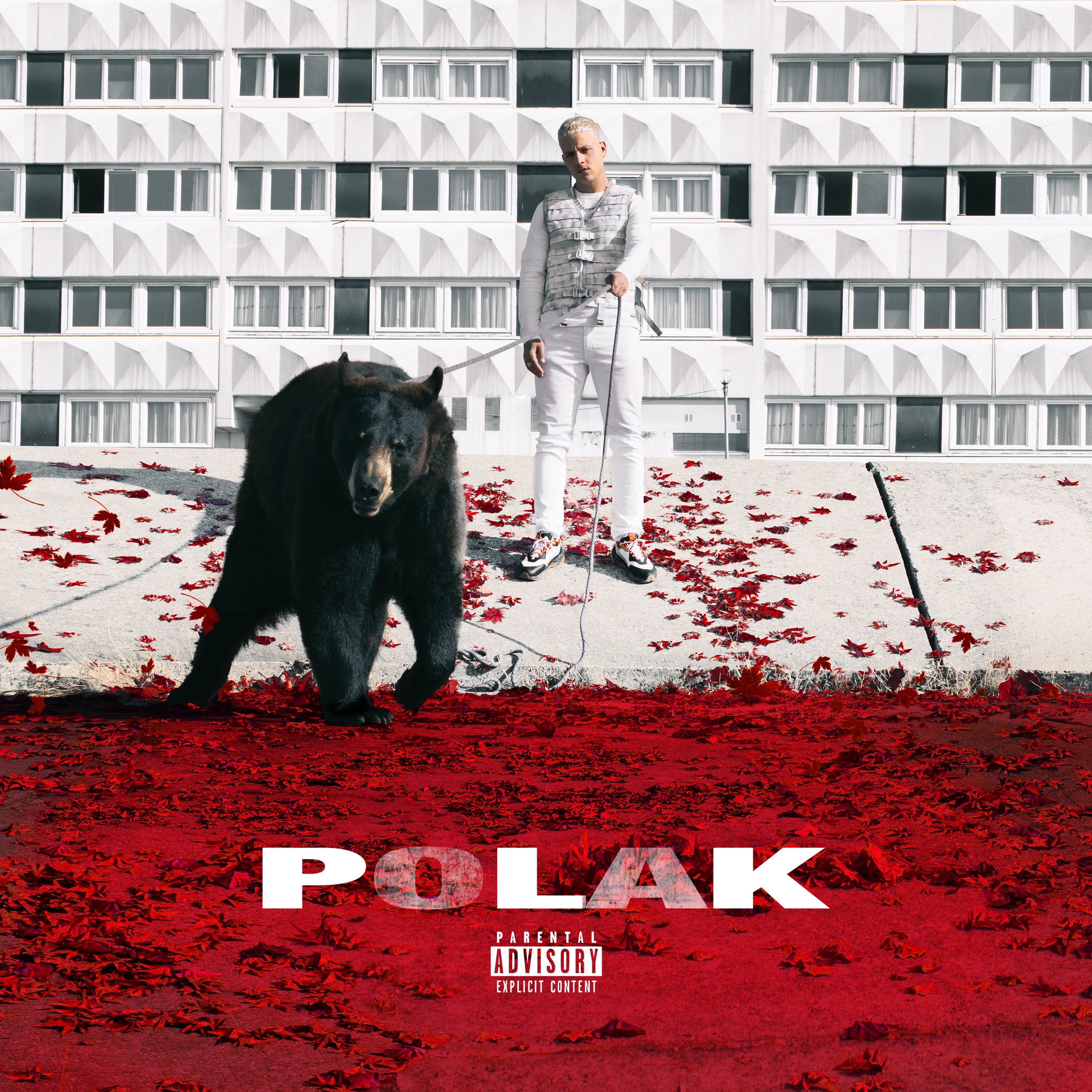 POLAK - Front Cover