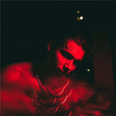 ANNÉES SAUVAGES - Front Cover