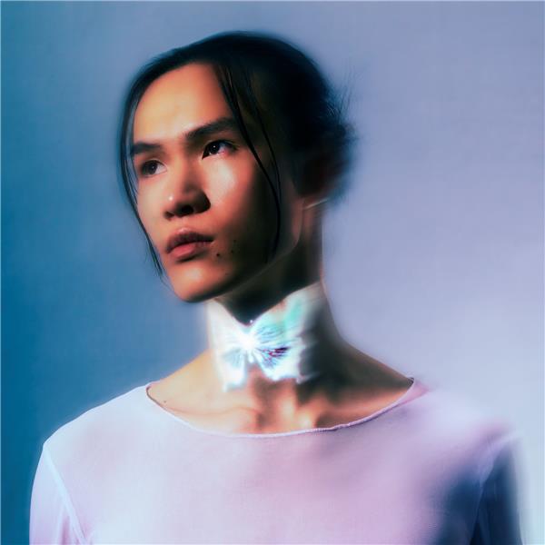 LA LOI DU PAPILLON - Front Cover