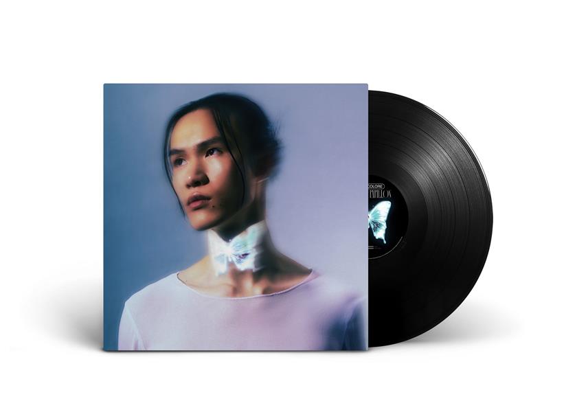 LA LOI DU PAPILLON - Front Cover