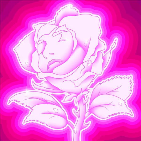 Rose Fluo - Front Cover