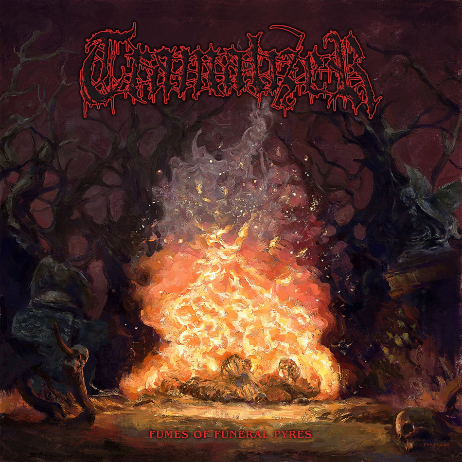Fumes Of Funeral Pyres - Front Cover