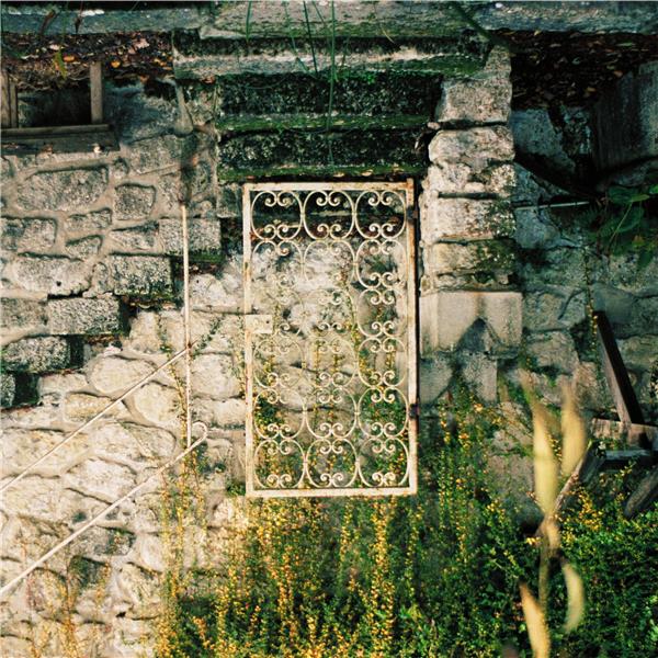 Lavender - Front Cover