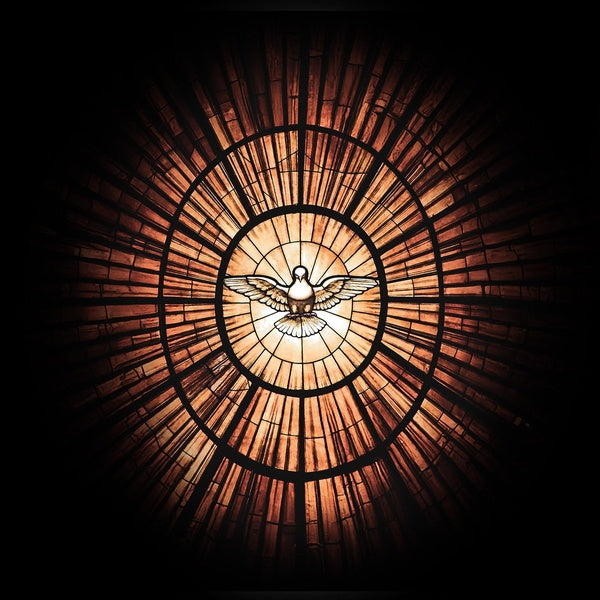 Paix - Front Cover