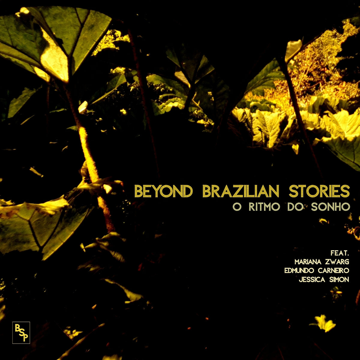 O RITMO DO SONHO - Front Cover
