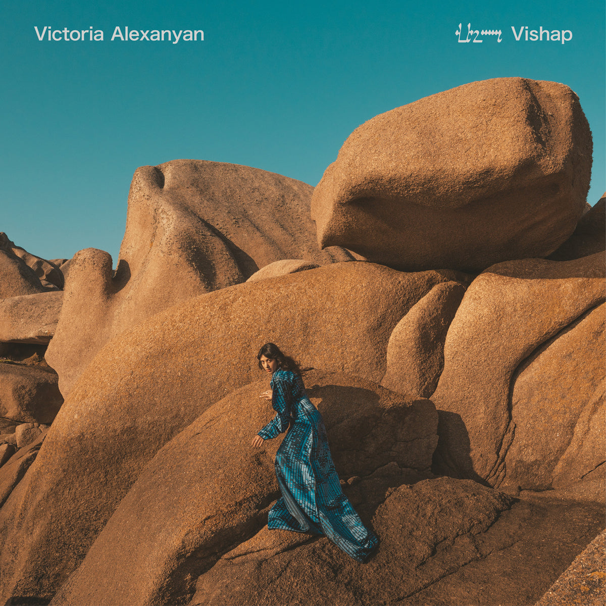 VISHAP - Front Cover