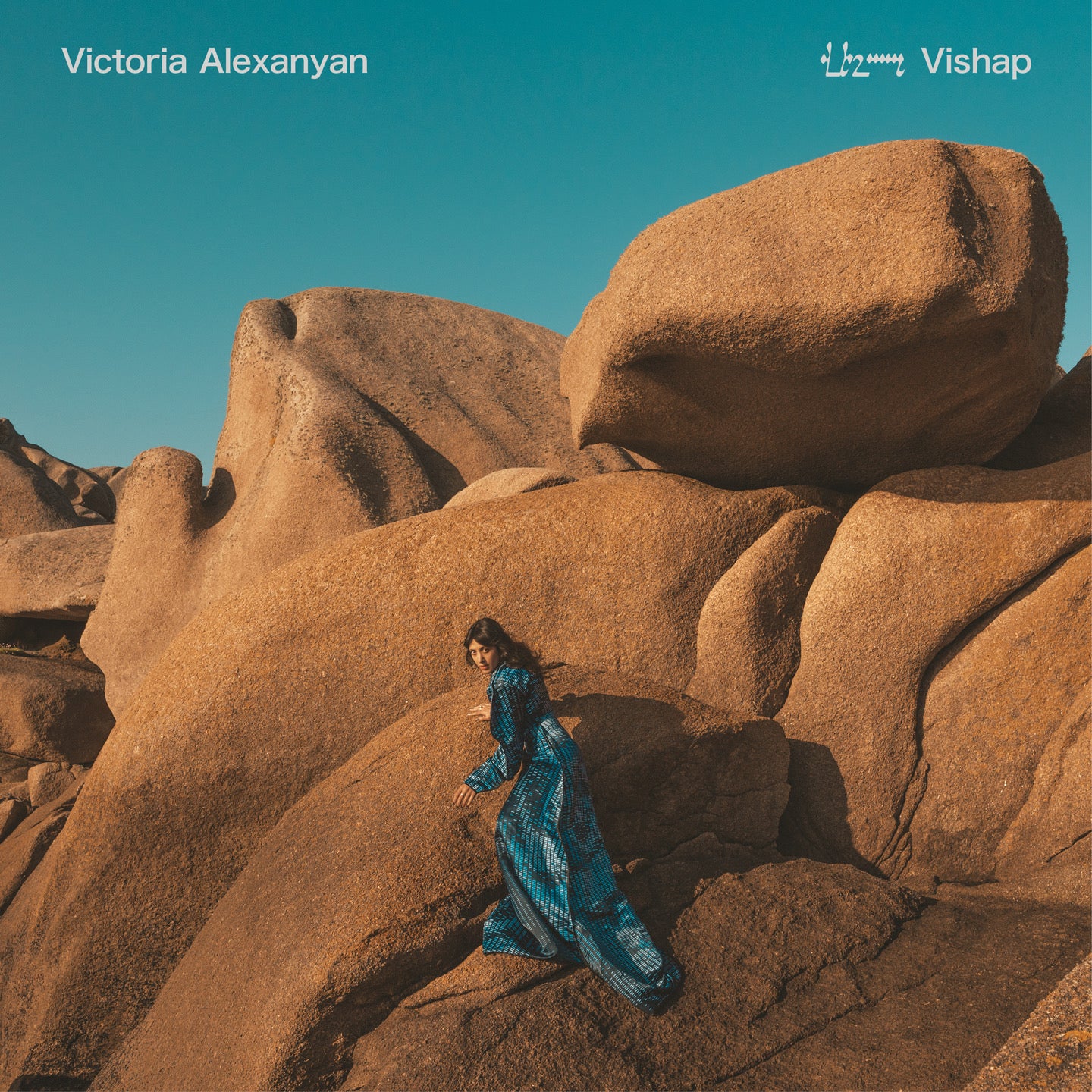 VISHAP - Front Cover