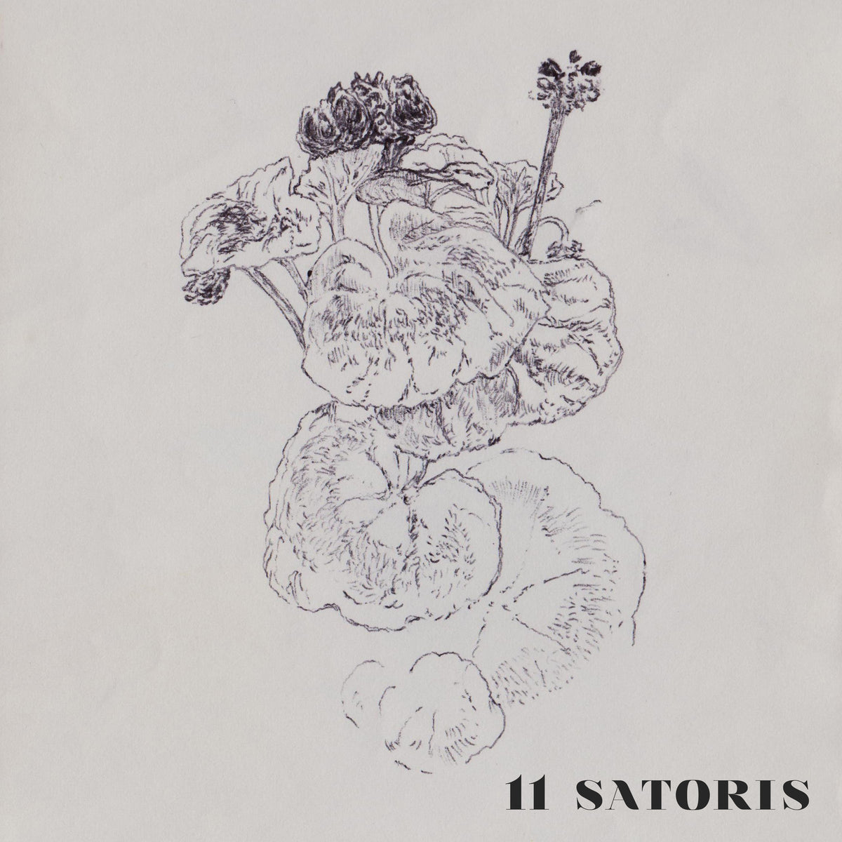 11 SATORIS - Front Cover