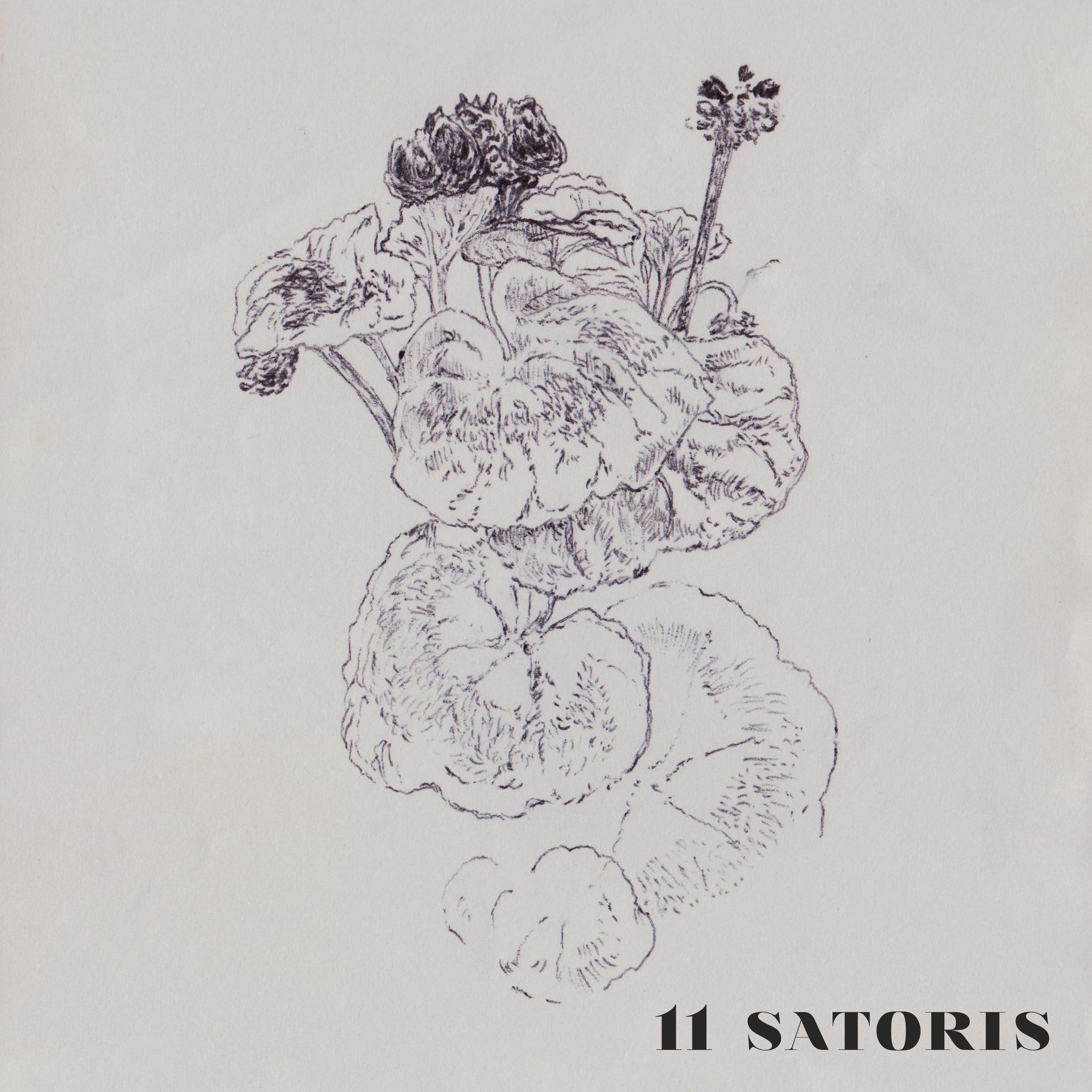 11 SATORIS - Front Cover