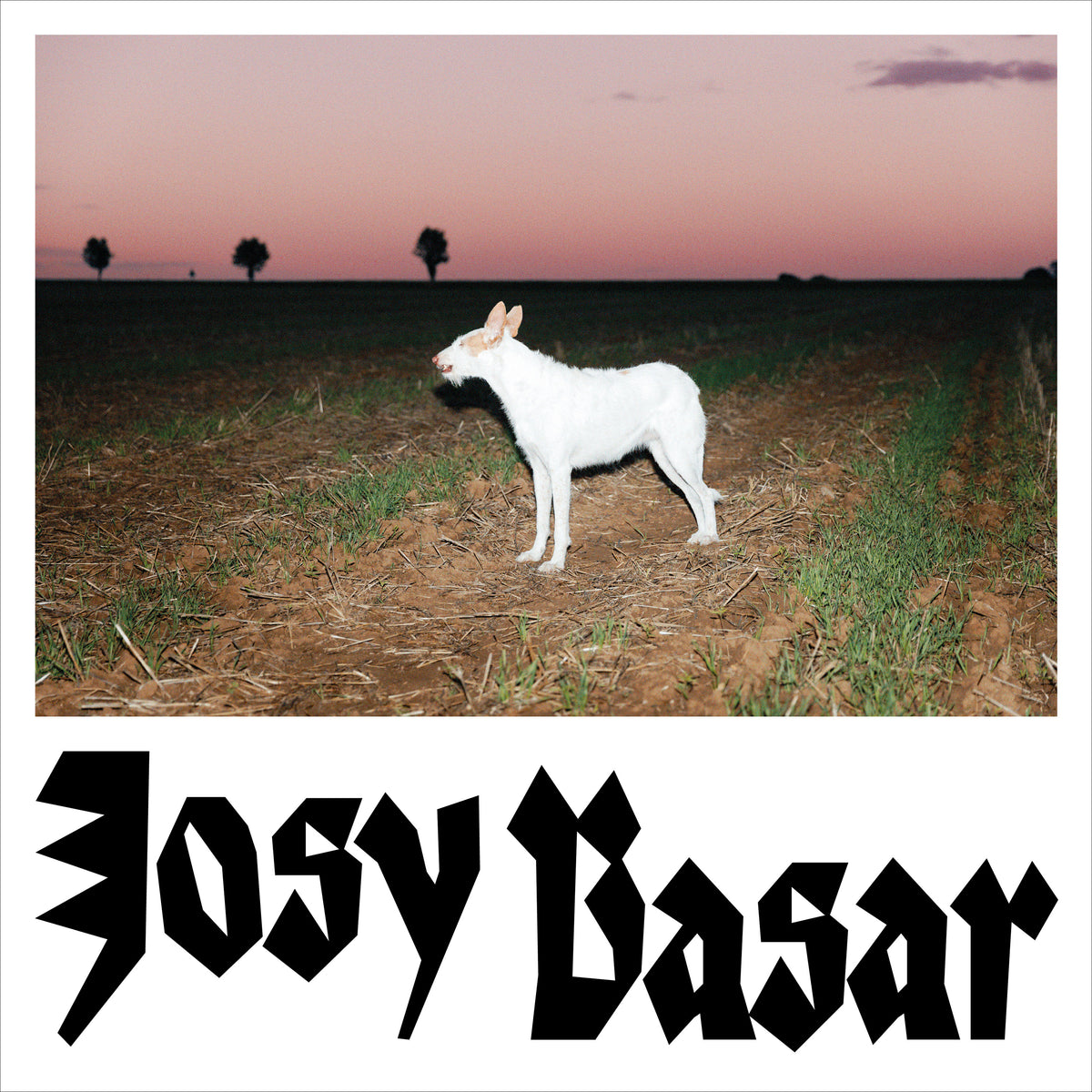 LE CHIEN - Front Cover