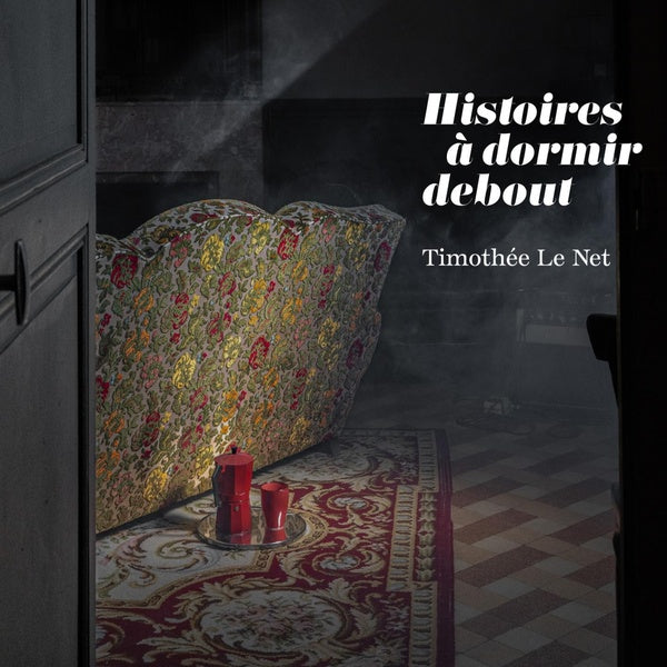 Histoires à dormir debout - Front Cover