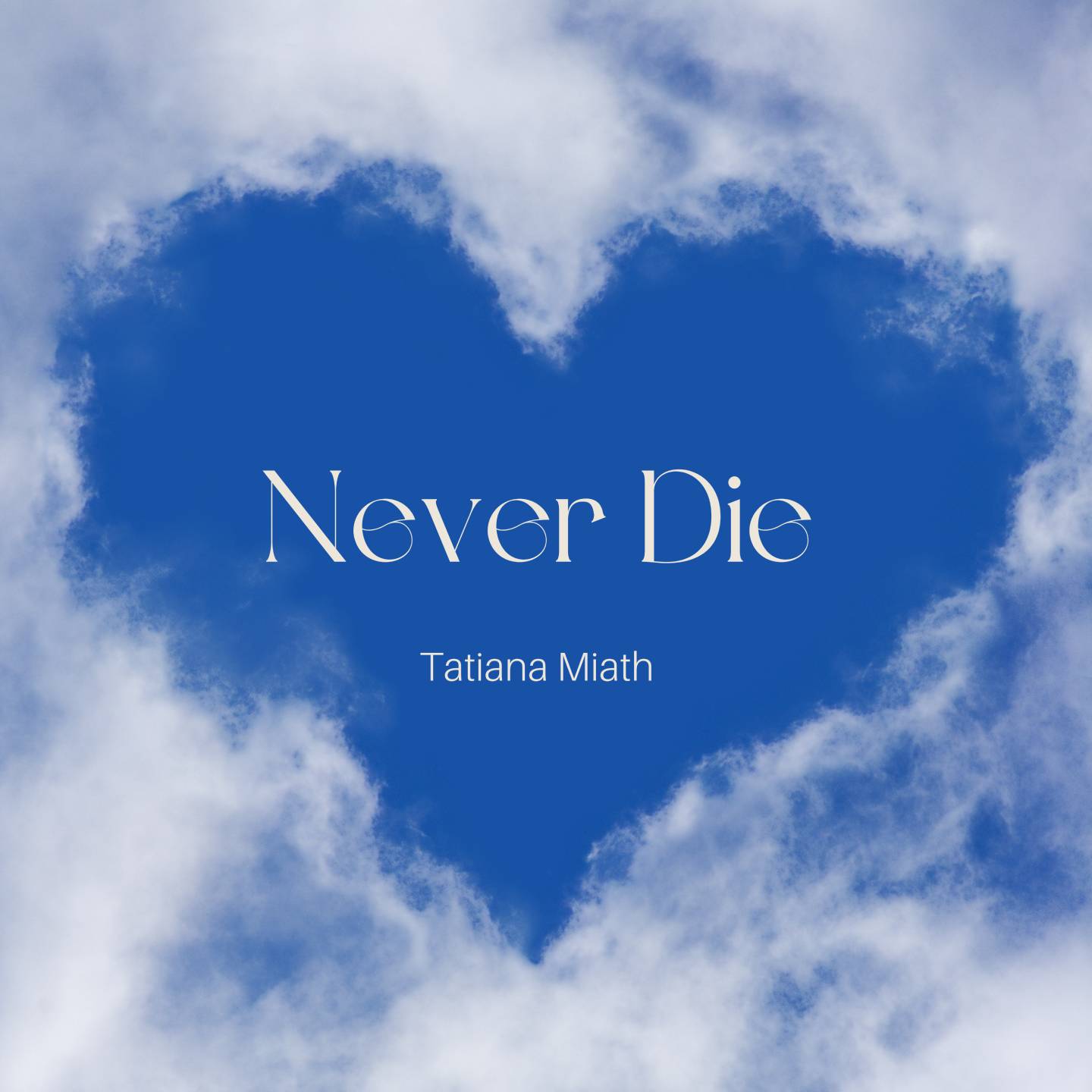 NEVER DIE - Front Cover
