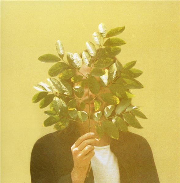 French Kiwi Juice - Front Cover