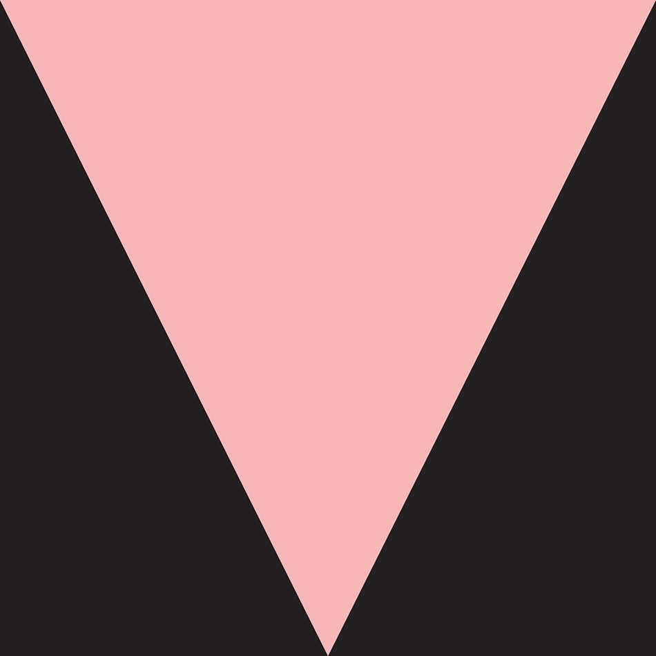 MESHELL NDEGEOCELLO "VENTRILOQUISM" LP - Front Cover