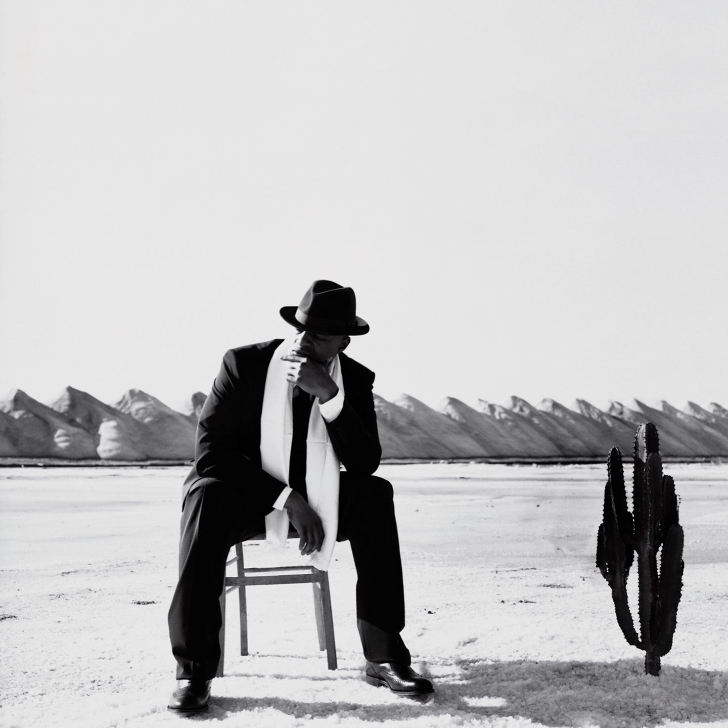 LE CACTUS DE SIBERIE - Front Cover