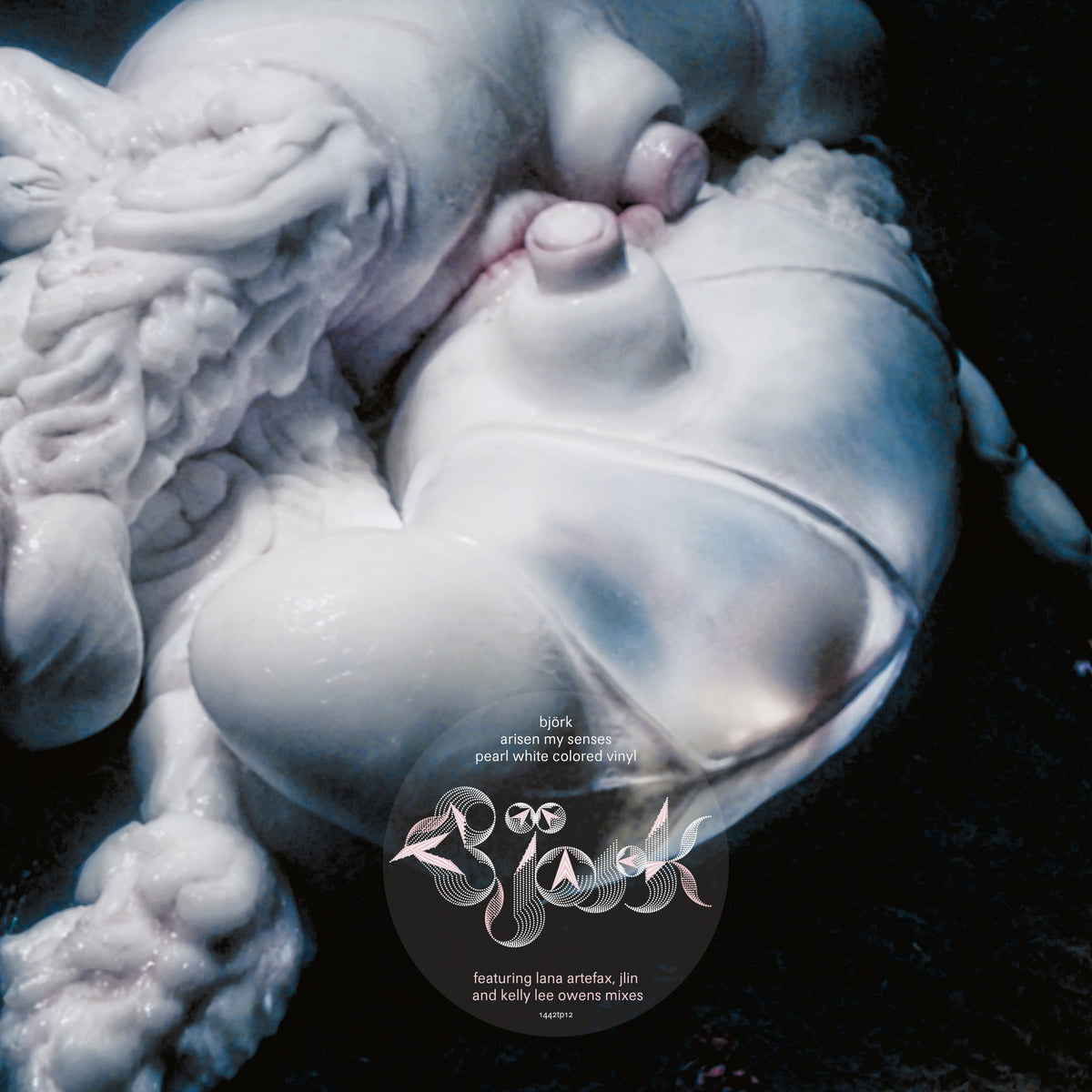 ARISEN MY SENSES - Front Cover