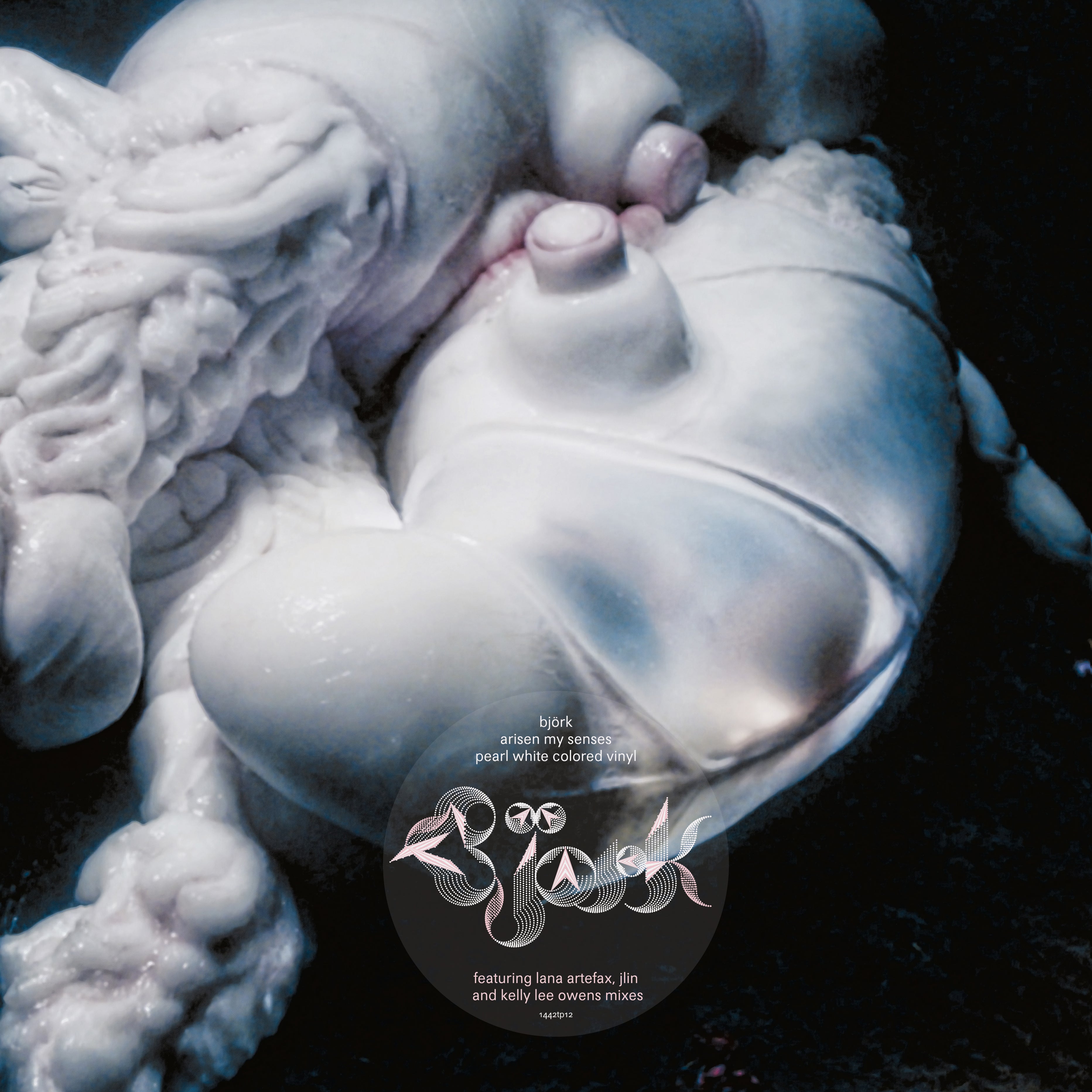 ARISEN MY SENSES - Front Cover