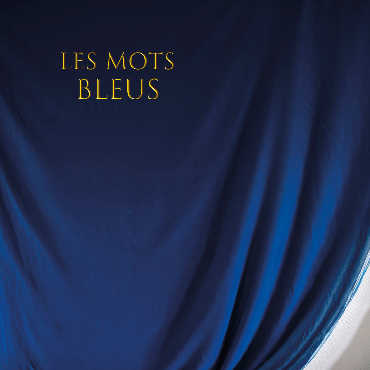 Les mots bleus - Front Cover