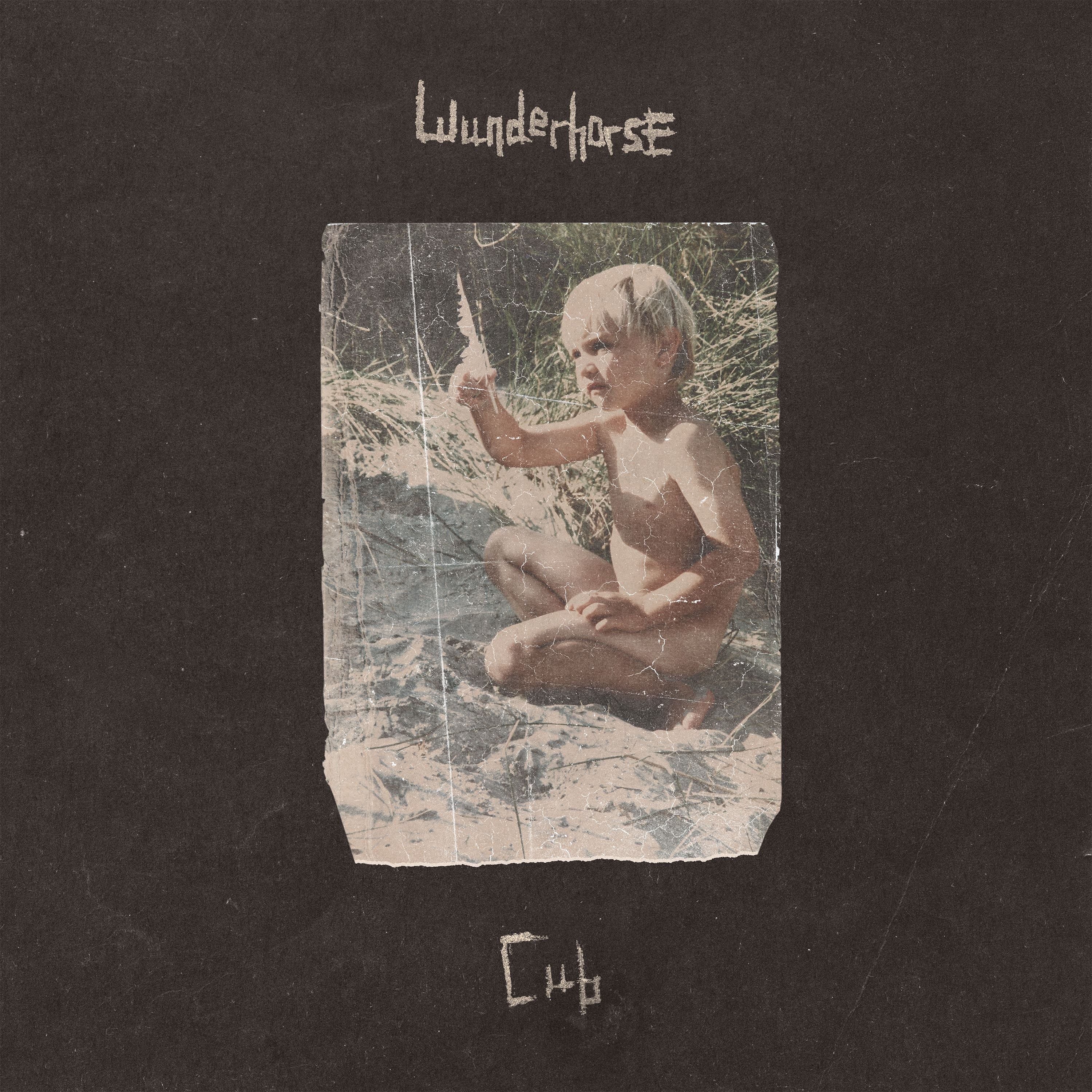 Cub - Front Cover