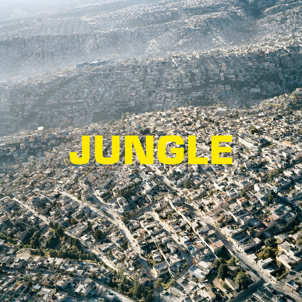 Jungle - Front Cover