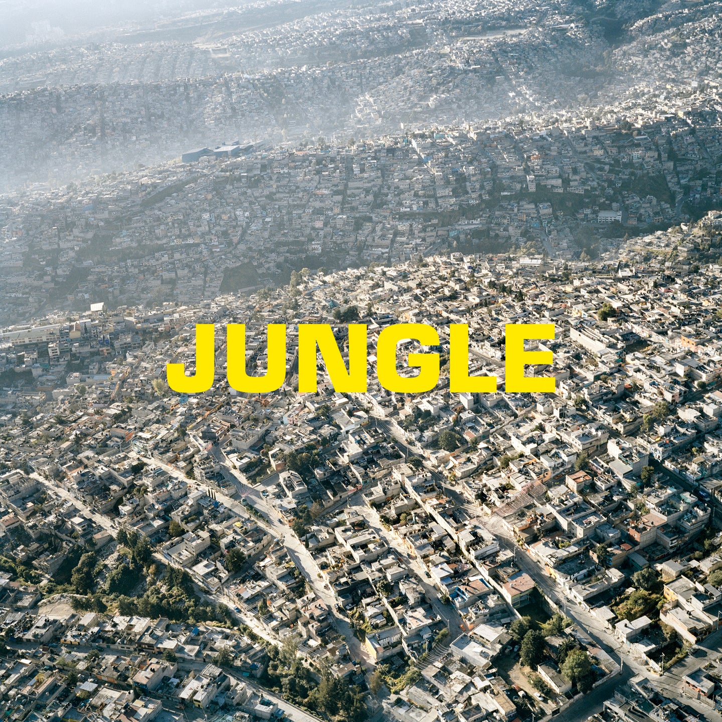 Jungle - Front Cover