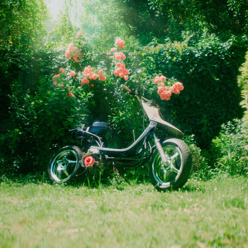 Poison - Front Cover